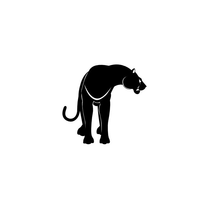 Panther Vinyl Decal Sticker V34 - DecalsHouse