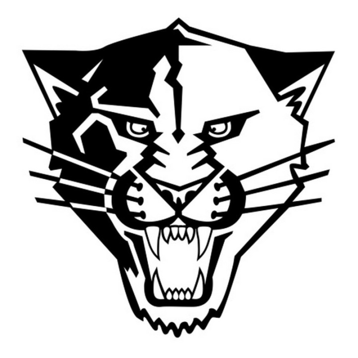 Panther Vinyl Decal Sticker V45 - DecalsHouse