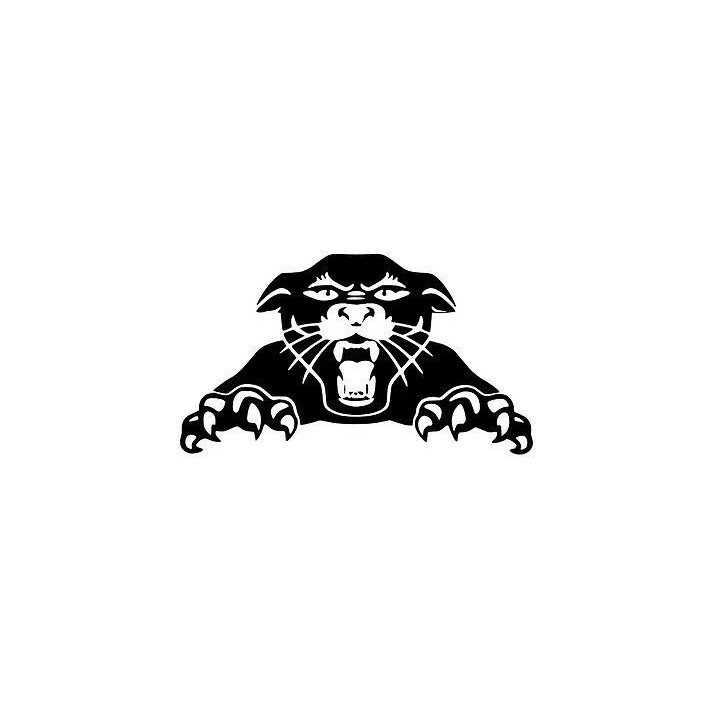 Panther Vinyl Decal Sticker V9 - DecalsHouse