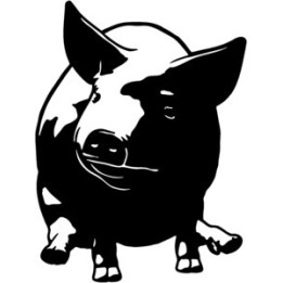 Pig Stickers – Farm Animal Swine Decals (2-Pack)