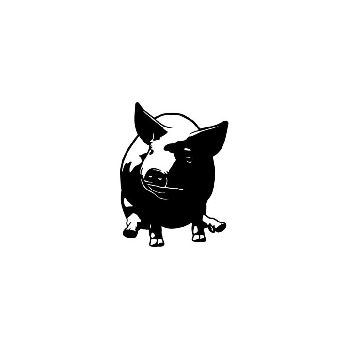 Pig Stickers – Farm Animal Swine Decals (2-Pack)