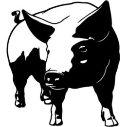 Pig Stickers – Farm Pig Vinyl Decals (2-Pack)