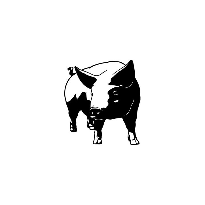Pig Stickers – Farm Pig Vinyl Decals (2-Pack)