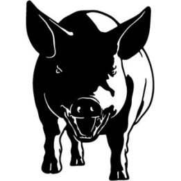 Pig Stickers – Farm Animal Silhouette Decals (2-Pack)
