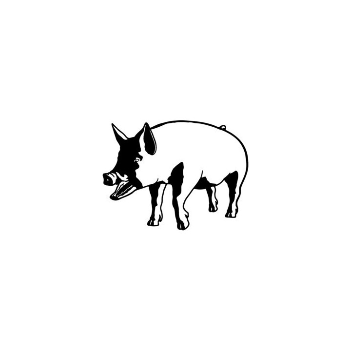 Pig Stickers – Realistic Swine Farm Decals (2-Pack)