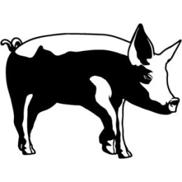 Pig Stickers – Farm Animal Swine Decals (2-Pack)