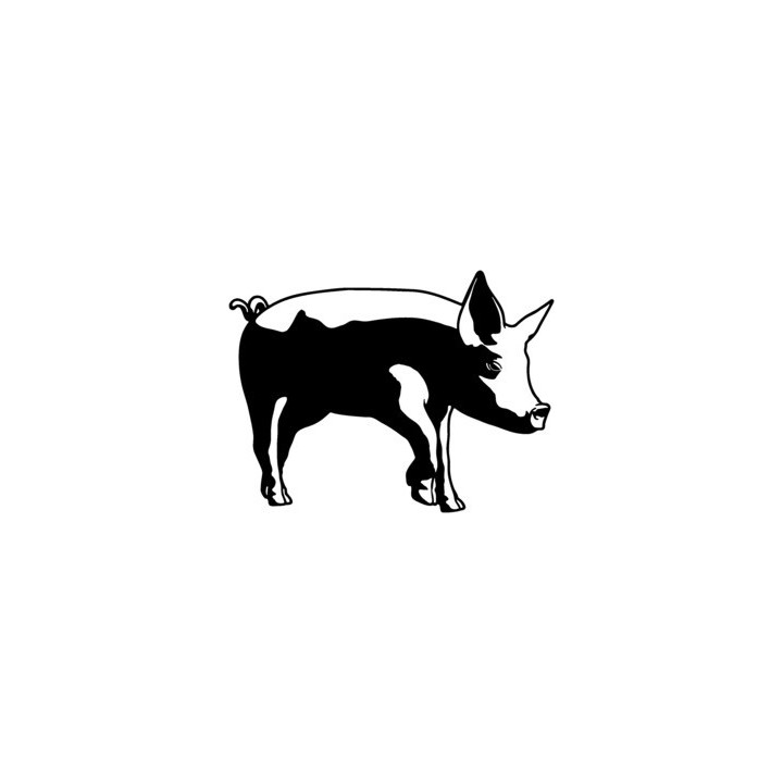 Pig Stickers – Farm Animal Swine Decals (2-Pack)