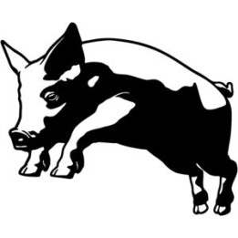 Pig Stickers – Farm Animal Hog Decals (2-Pack)