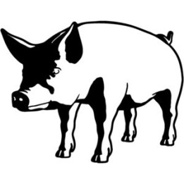 Pig Stickers – Farm Animal Vinyl Decals (2-Pack)