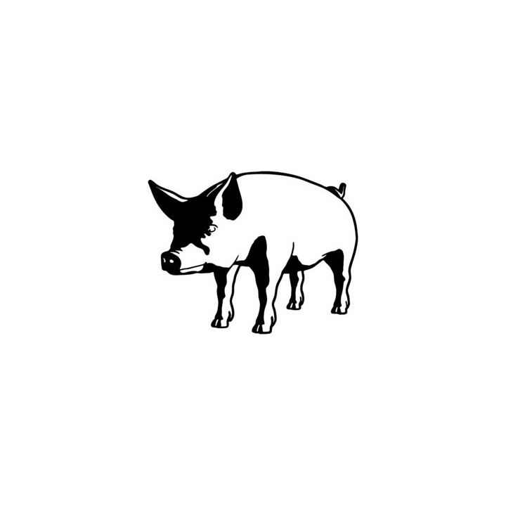 Pig Stickers – Farm Animal Vinyl Decals (2-Pack)