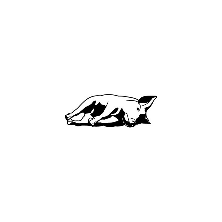 Pig Stickers – Farm Animal Vintage Art Decals (2-Pack)