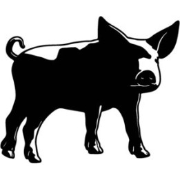 Pig Stickers – Realistic Farm Animal Decals (2-Pack)