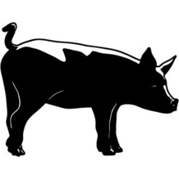 Pig Stickers – Farm Animal Swine Decals (2-Pack)