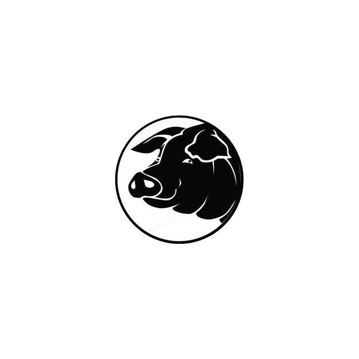 Pig Head Portrait Stickers – Farm Animal Decals (2-Pack)