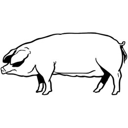 Pig Stickers – Farm Animal Hog Decals (2-Pack)