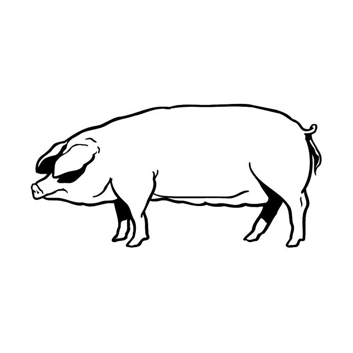 Pig Stickers – Farm Animal Hog Decals (2-Pack)