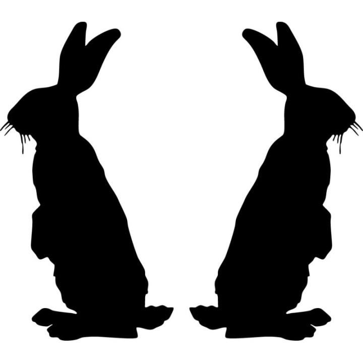 Rabbit V16 Stickers – Bunny Silhouette Wildlife Vinyl Decals (2-Pack)