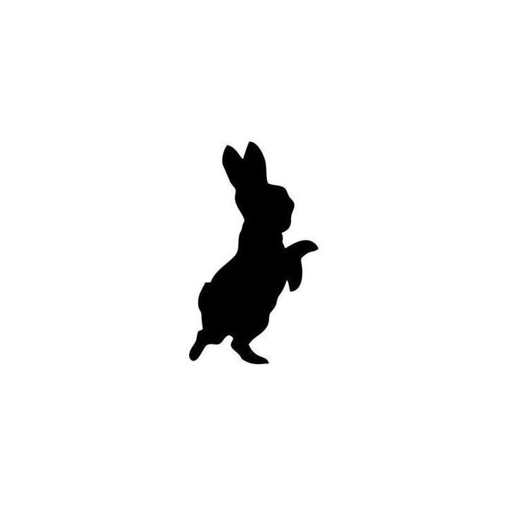 Rabbit Vinyl Decal Sticker V22 - DecalsHouse