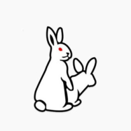 Rabbit Vinyl Decal Sticker V33 - DecalsHouse
