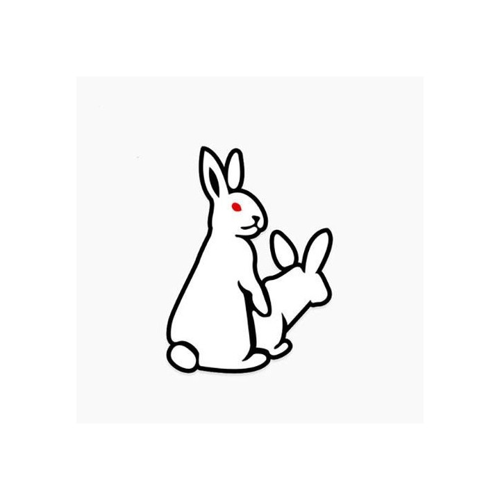 Rabbit Vinyl Decal Sticker V33 - DecalsHouse