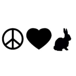Rabbit Vinyl Decal Sticker V34 - DecalsHouse