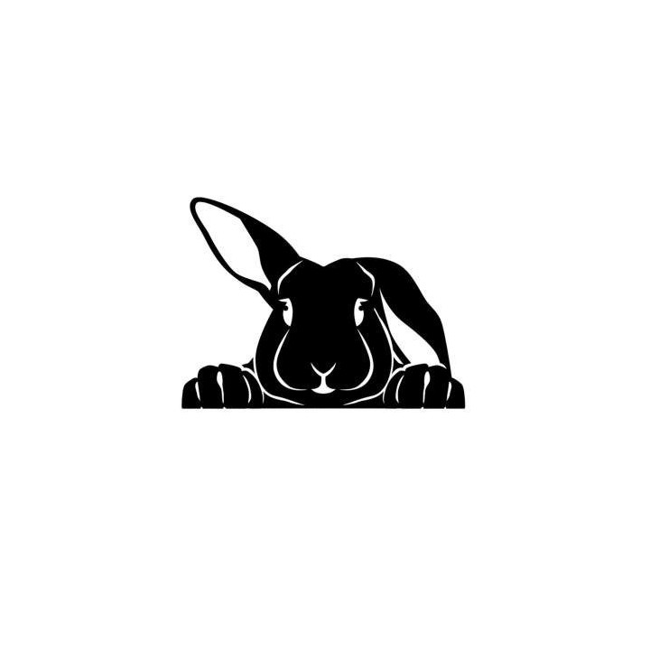 Rabbit Vinyl Decal Sticker V40 - DecalsHouse