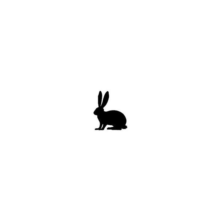 Rabbit Vinyl Decal Sticker V41 - DecalsHouse