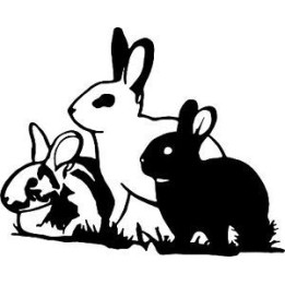 Rabbit Vinyl Decal Sticker V49 - DecalsHouse
