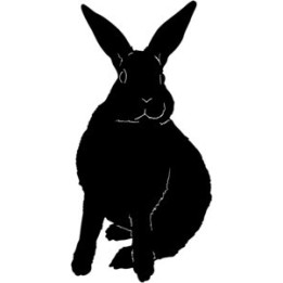 Rabbit Vinyl Decal Sticker V5 - DecalsHouse