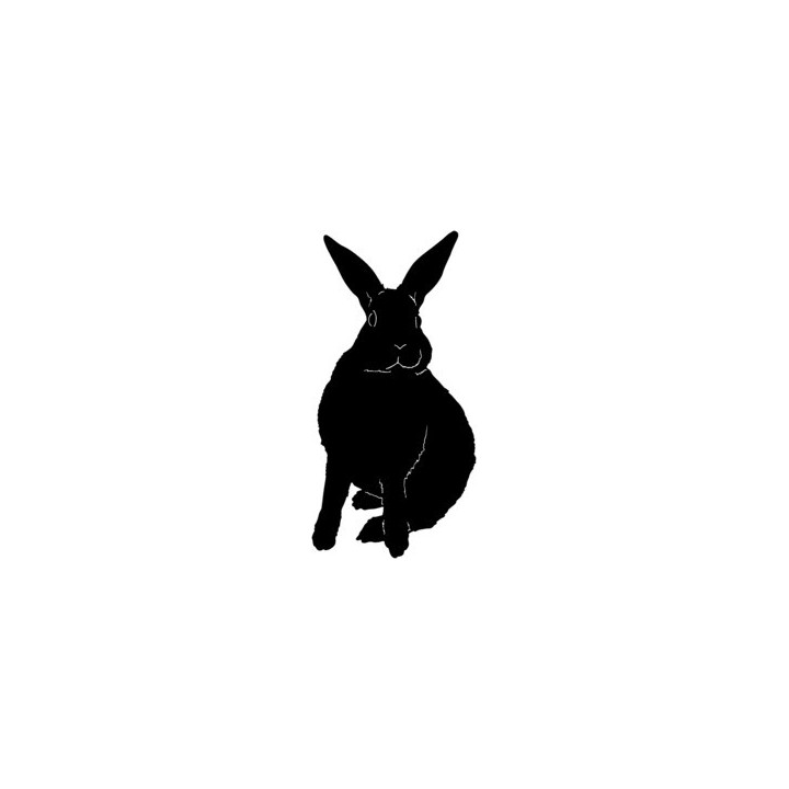 Rabbit Vinyl Decal Sticker V5 - DecalsHouse