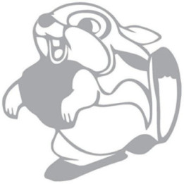 Rabbit Vinyl Decal Sticker V57 - DecalsHouse