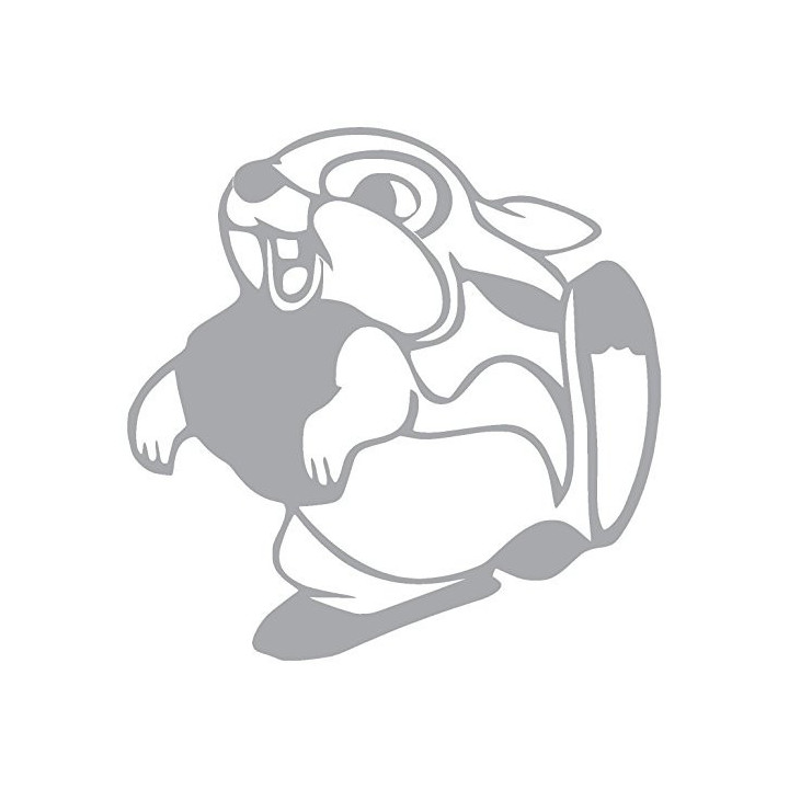 Rabbit Vinyl Decal Sticker V57 - DecalsHouse