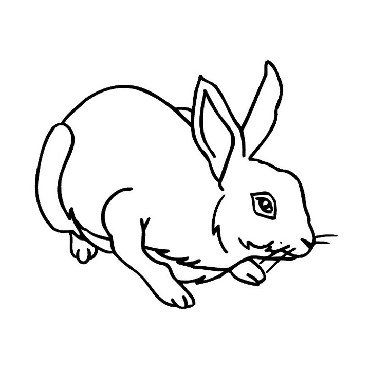 Rabbit Vinyl Decal Sticker V58 - DecalsHouse