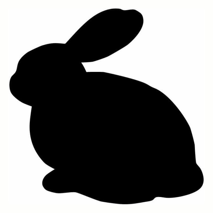 Rabbit Vinyl Decal Sticker V59 - DecalsHouse