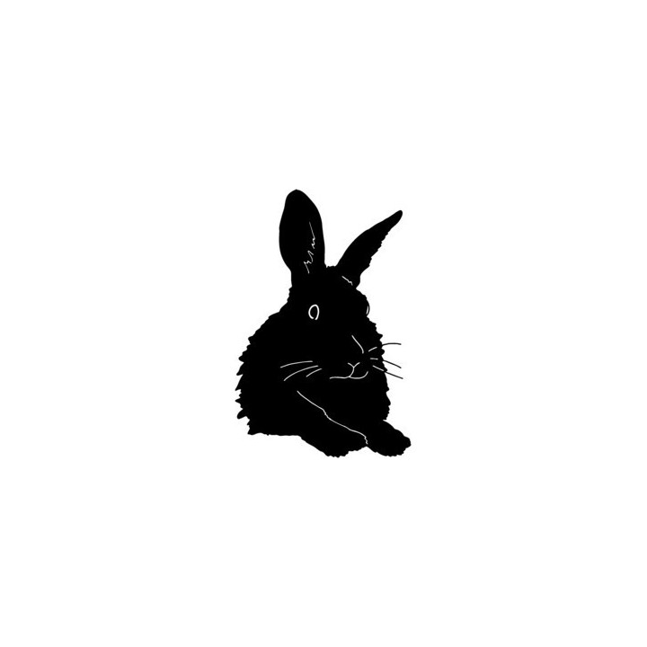 Rabbit Vinyl Decal Sticker V6 - DecalsHouse