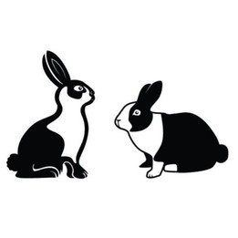 Rabbit Vinyl Decal Sticker V62 - DecalsHouse