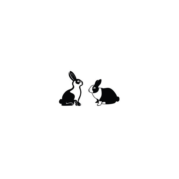 Rabbit Vinyl Decal Sticker V62 - DecalsHouse