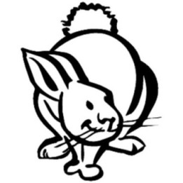Rabbit Vinyl Decal Sticker V65 - DecalsHouse