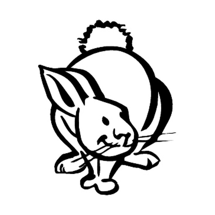 Rabbit Vinyl Decal Sticker V65 - DecalsHouse