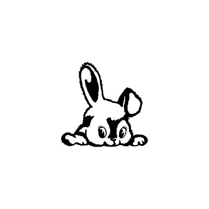 Rabbit Vinyl Decal Sticker V7 - DecalsHouse
