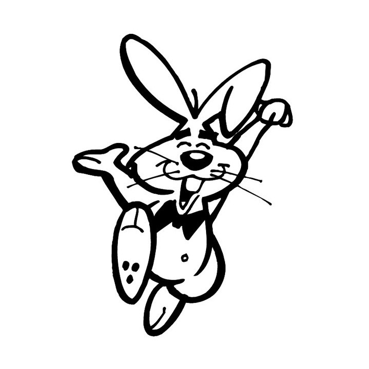 Rabbit Vinyl Decal Sticker V70 - DecalsHouse
