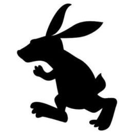 Rabbit Vinyl Decal Sticker V75 - DecalsHouse