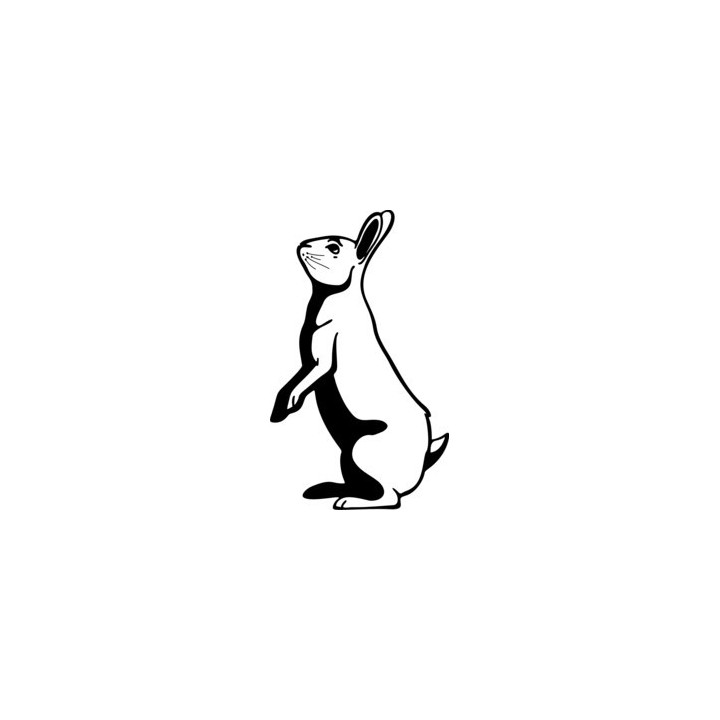 Rabbit Vinyl Decal Sticker V8 - DecalsHouse