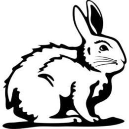 Rabbit Vinyl Decal Sticker V9 - DecalsHouse