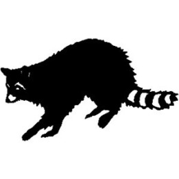 Raccoon Coon Vinyl Decal Sticker V10 - DecalsHouse