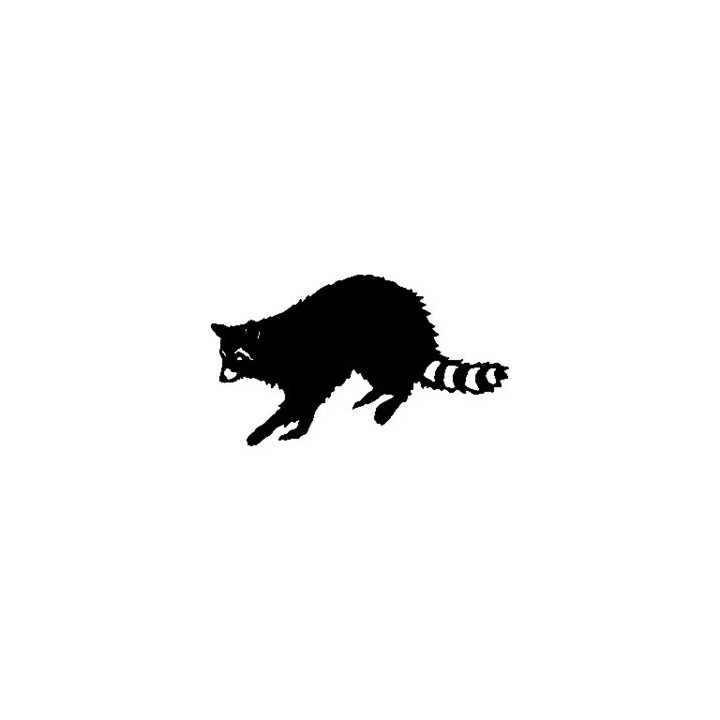 Raccoon Coon Vinyl Decal Sticker V10 - DecalsHouse