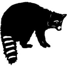 Raccoon Coon Vinyl Decal Sticker V11 - DecalsHouse