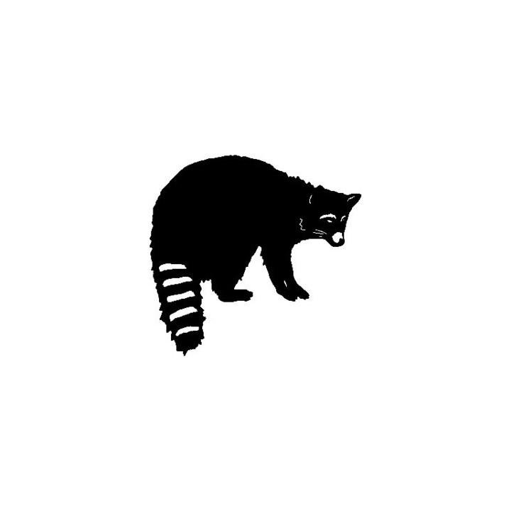Raccoon Coon Vinyl Decal Sticker V11 - DecalsHouse
