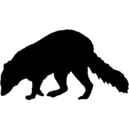 Raccoon Coon Vinyl Decal Sticker V12 - DecalsHouse