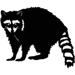 Raccoon Coon Vinyl Decal Sticker V16 - DecalsHouse